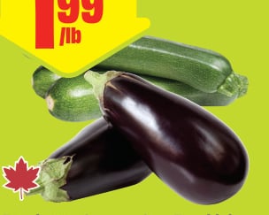 Eggplant or Green or Grey Zucchini Product of Ontario
