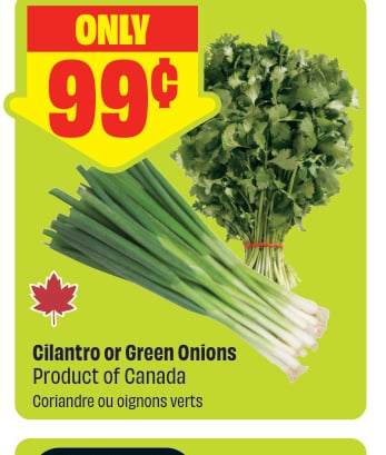 Cilantro or Green Onions Product of Canada