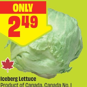 Iceberg Lettuce Product of Canada, Canada No. 1