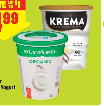 Krema or Olympic Yogurt