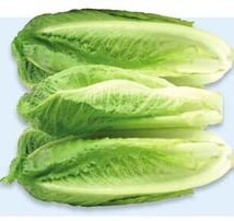Romaine lettuce hearts