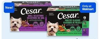 Cesar wet dog food