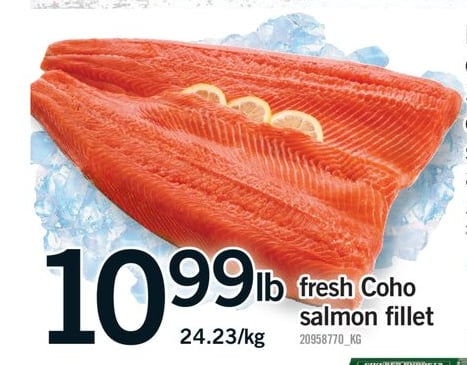 FRESH COHO SALMON FILLET