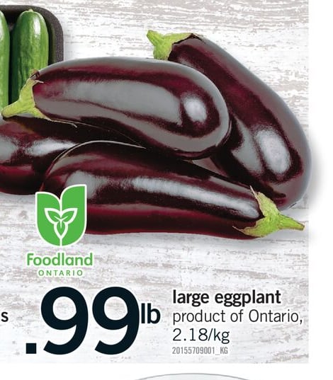LARGE EGGPLANT