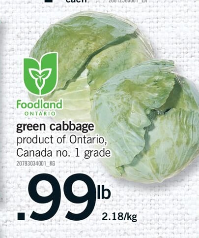GREEN CABBAGE