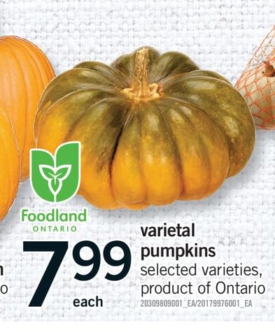 VARIETAL PUMPKINS