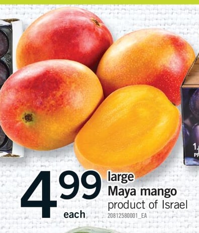 LARGE MAYA MANGO