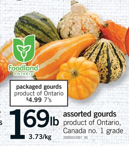 ASSORTED GOURDS