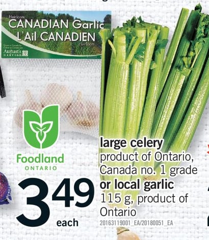 LARGE CELERY OR LOCAL GARLIC, 115 G