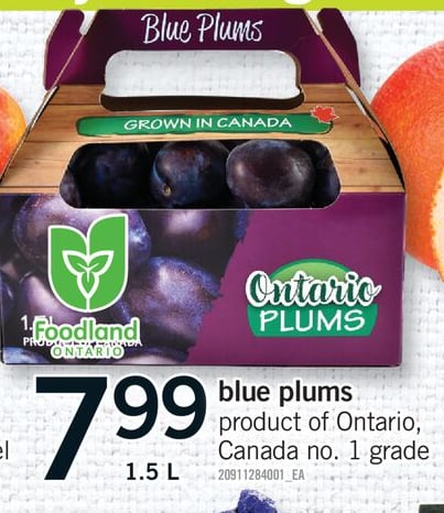 BLUE PLUMS, 1.5 L