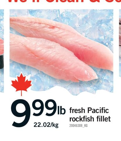FRESH PACIFIC ROCKFISH FILLET