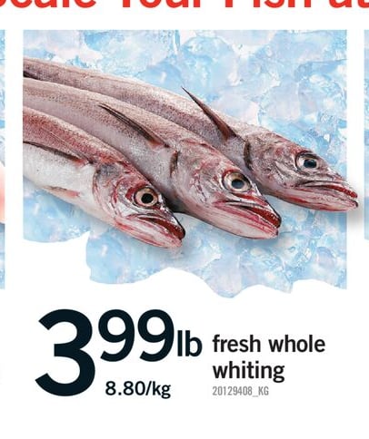 FRESH WHOLE WHITING