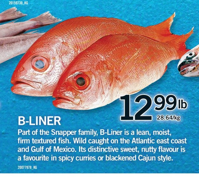 B-LINER