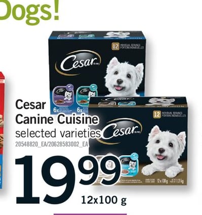 CESAR CANINE CUISINE, 12X100 G