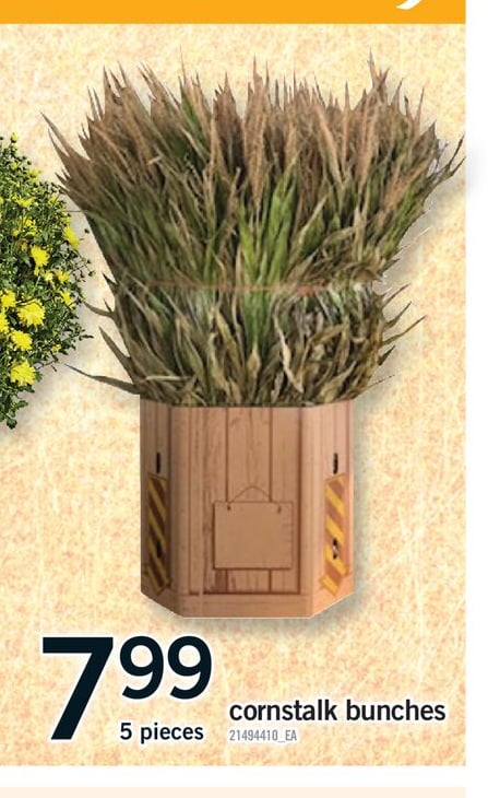 CORNSTALK BUNCHES, 5 PIECES