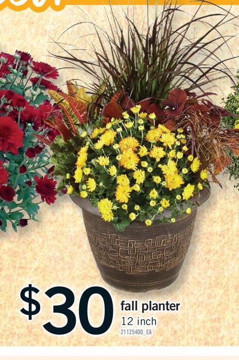 FALL PLANTER, 12 inch