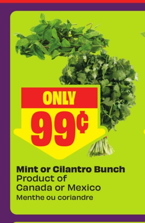Mint or Cilantro Bunch Product of Canada or Mexico - FreshCo Diwali