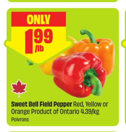 Sweet Bell Field Pepper Red, Yellow or Orange Product of Ontario