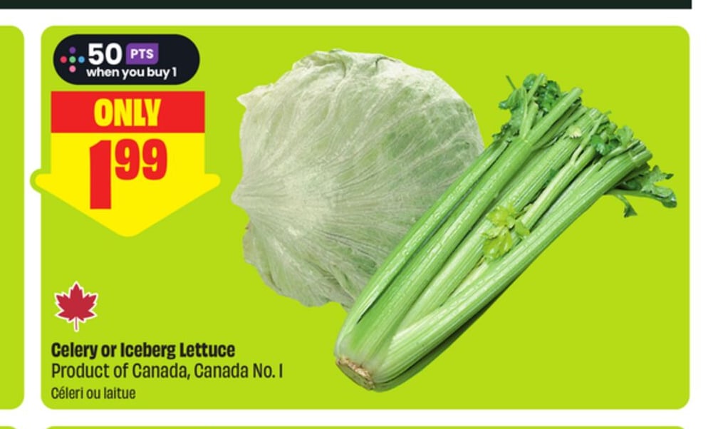 Celery or Iceberg Lettuce