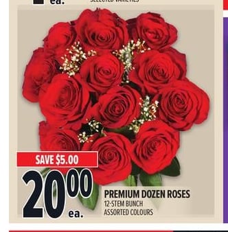 PREMIUM DOZEN ROSES