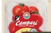 CAMPARI TOMATOES, MINI CUCUMBERS