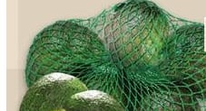 AVOCADOS | LIMES