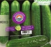 CAMPARI TOMATOES OR MINI CUCUMBERS