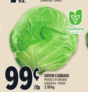GREEN CABBAGE