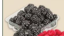 BLACKBERRIES