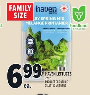 HAVEN LETTUCES