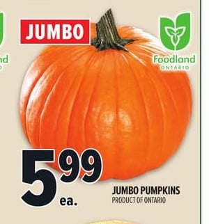 JUMBO PUMPKINS