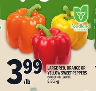 LARGE RED, ORANGE OR YELLOW SWEET PEPPERS