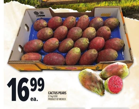 CACTUS PEARS