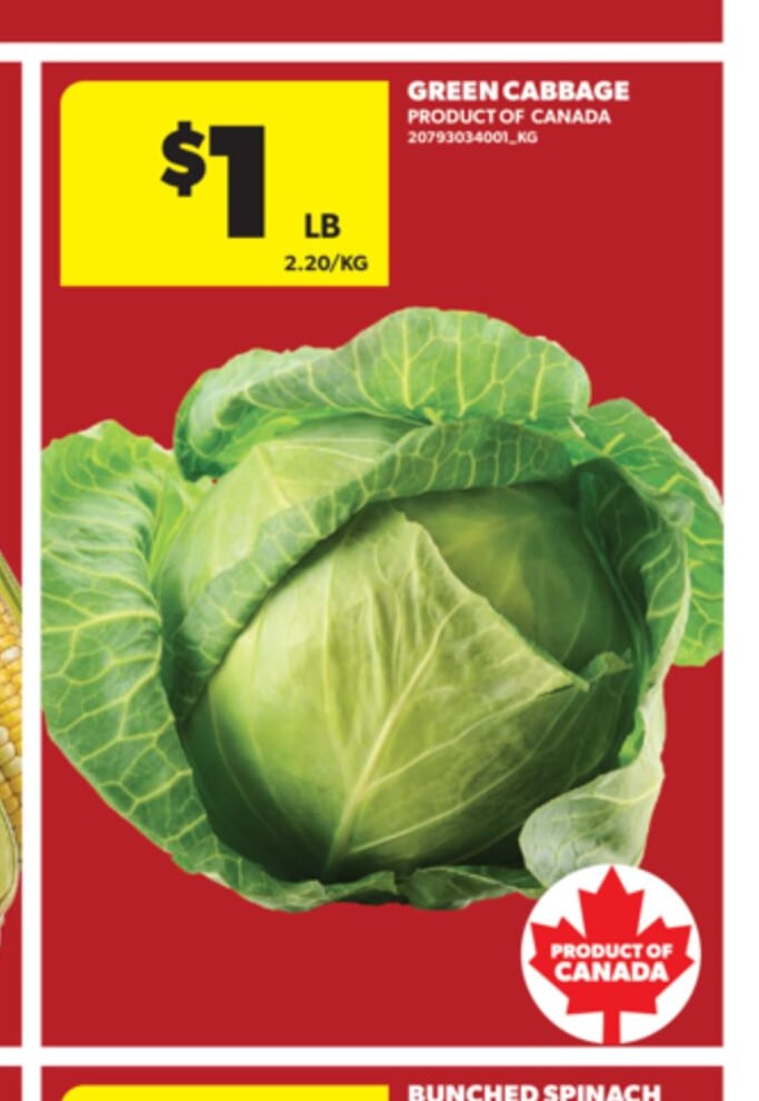 GREEN CABBAGE
