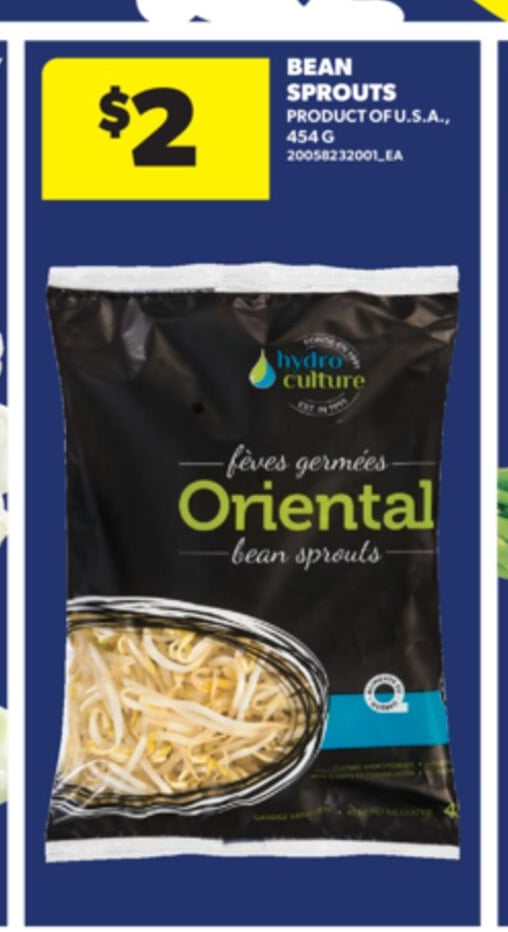 BEAN SPROUTS, 454 G