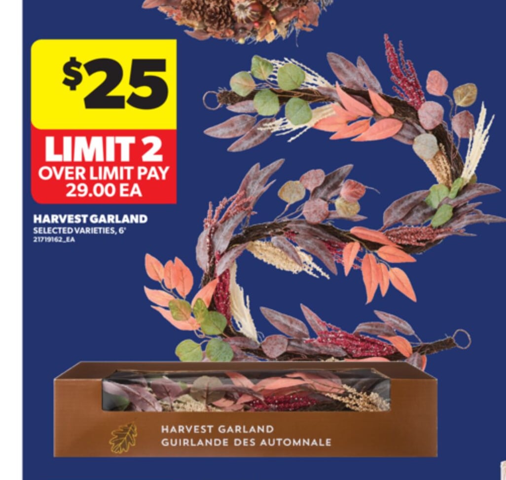 HARVEST GARLAND, 6"
