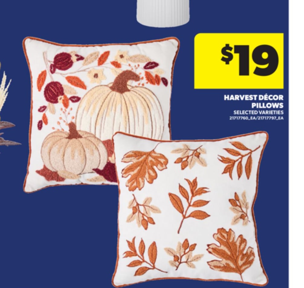 HARVEST DECOR PILLOWS