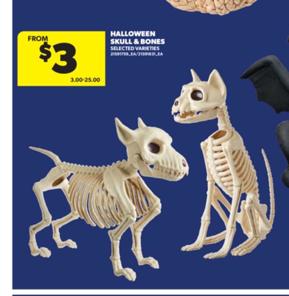 HALLOWEEN SKULL & BONES
