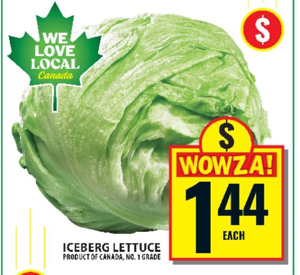 Iceberg Lettuce