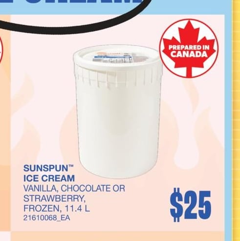 SUNSPUN™ ICE CREAM, 11.4 L