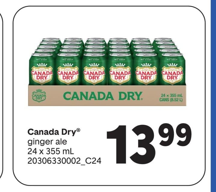 GINGER ALE, 24 x 355 ML