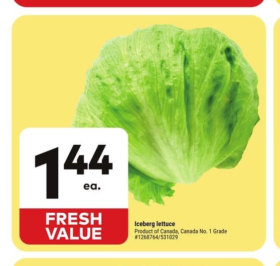 Iceberg lettuce