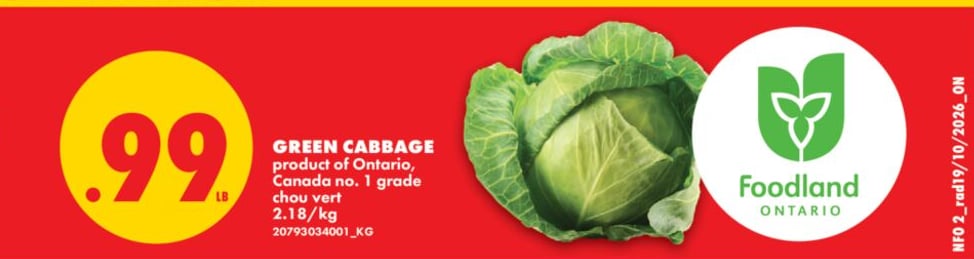 GREEN CABBAGE, 2.8 - 3.2 KG