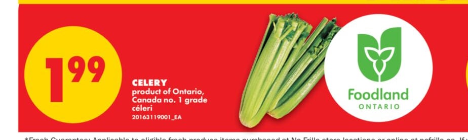CELERY