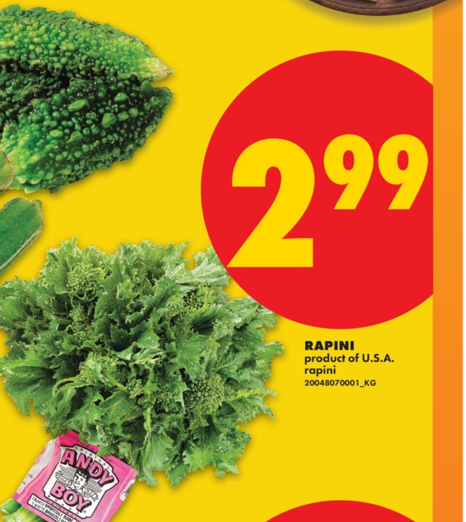RAPINI
