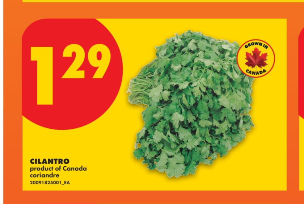 CILANTRO