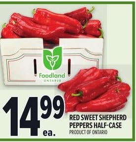 RED SWEET SHEPHERD PEPPERS HALF-CASE