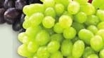 JUMBO GREEN OR RED OR LARGE BLACK OR CANDY HEART GRAPES