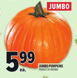 JUMBO PUMPKINS