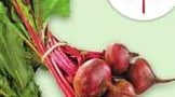 BUNCH RED OR GOLDEN BEETS